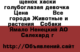 щенок хаски  голубоглазая девочка › Цена ­ 12 000 - Все города Животные и растения » Собаки   . Ямало-Ненецкий АО,Салехард г.